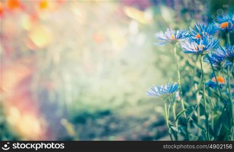 Summer nature background with sunshine and flowers in garden or park, outdoor