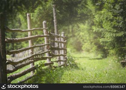 Summer nature frame with an alley with green grass near an old wooden fence, on a sunny day. Selective focus image. Sunshine in the countryside.