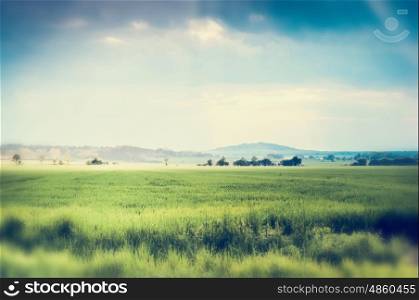 Summer nature landscape background with green field and beautiful sky, outdoor