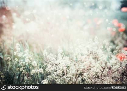 Summer nature landscape background with wild flowers and grass