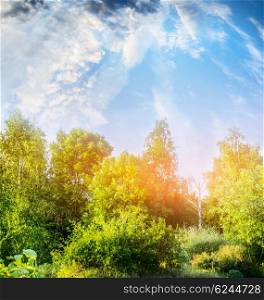 Summer nature scenery with green bushes and trees over beautiful sky background