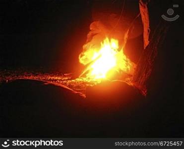 Summer night and young woman near the bonfire