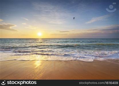 Summer on the beach. Sandy seashore during sunset. Element of design.