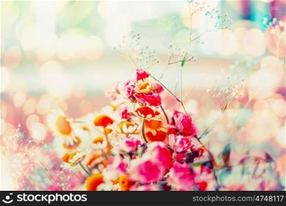 Summer or spring flowers at sunny bokeh background, selective focus