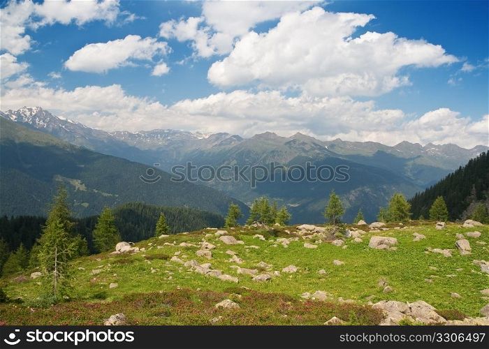 summer panorama of Val di Sole, Trentino Italy