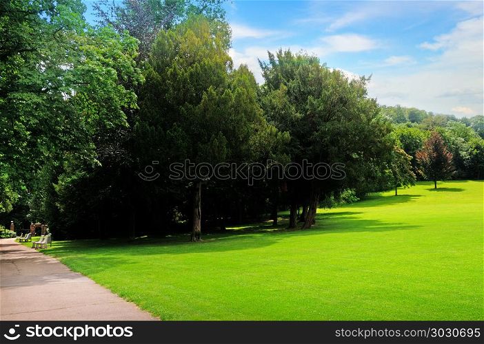 Summer park, green meadow and blue sky.. Summer park, green meadow and blue sky. A bright sunny day.