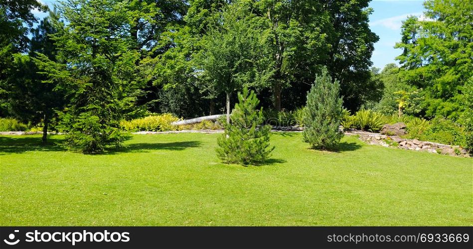 Summer park, green meadow and blue sky.Wide photo.