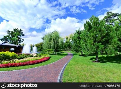 summer park in Ukraine, beautiful green park