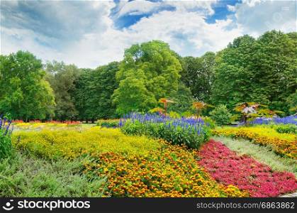 summer park with beautiful flower beds and sky