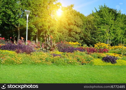 summer park with beautiful flowerbeds