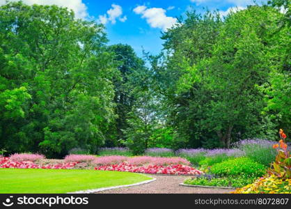 summer park with beautiful flowerbeds