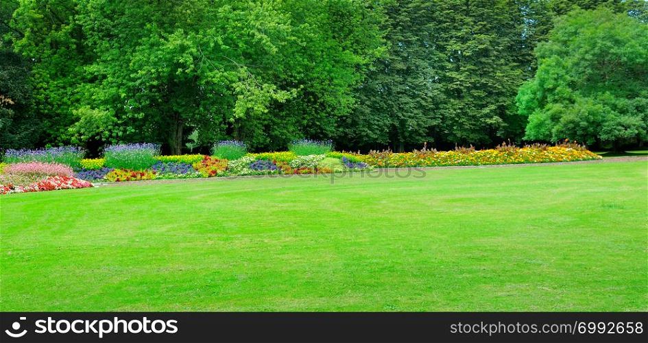 Summer park with beautiful flowerbeds and meadow. Wide photo.