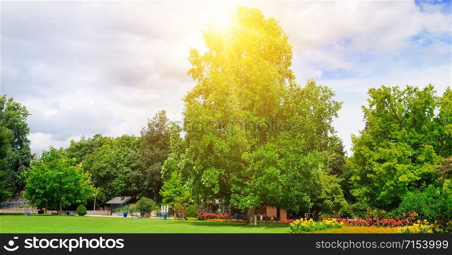 Summer park with beautiful green lawns and sun. Wide photo .
