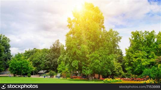Summer park with beautiful green lawns and sun. Wide photo .