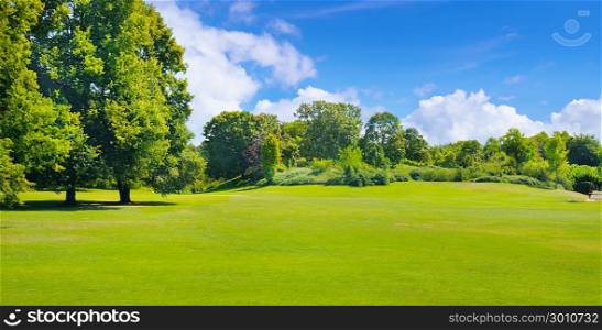 Summer park with deciduous trees and broad lawns. In the blue sky, light cumulus clouds. Wide photo.