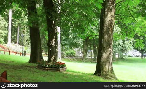 Summer park with fountain