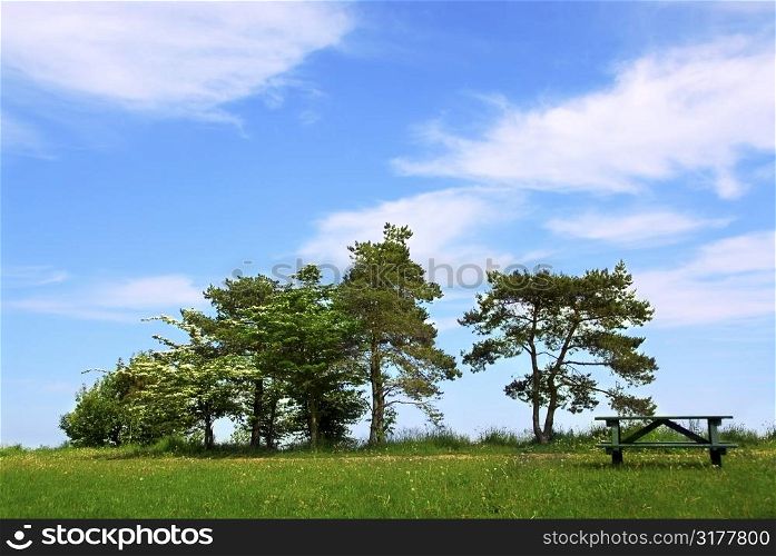 Summer park with group of trees and picnic table