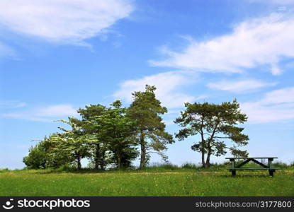 Summer park with group of trees and picnic table