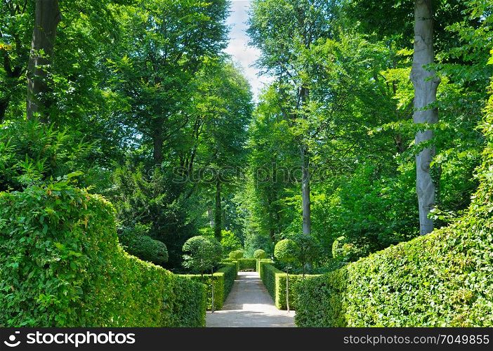 Summer park with hedges and alleys