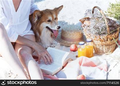 Summer - picnic by the sea. basket for a picnic with with buns, apples and juice. girl and dog on a picnic