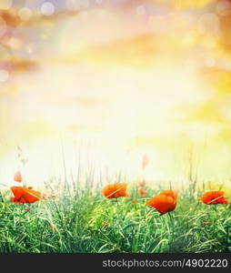 Summer poppy field in sun light and bokeh, nature background