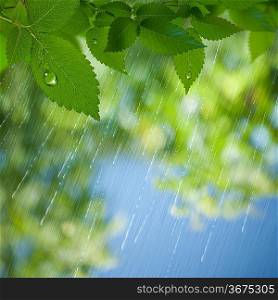 Summer Rain. Abstract environmental backgrounds for your design