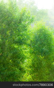 Summer rainy outside window, water drops droplets raindrops on glass windowpane as background texture. Downpour rain.