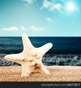 Summer relax, abstract vacation backgrounds with beach, starfish and sea