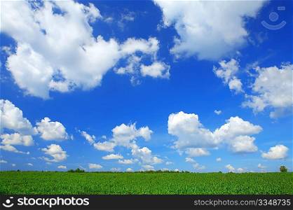 Summer rural landscape - green field and blue cloudy skies