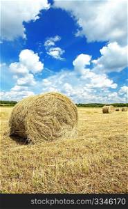 Summer rural landscape - hay cleaning in rolls
