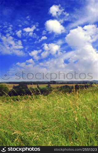 Summer rural landscape with cloudy blue sky