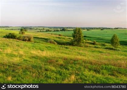 Summer rural landscape with green fields and meadows at sunset