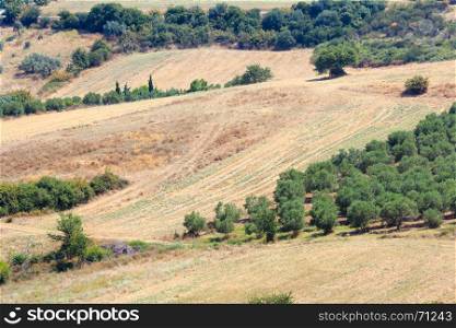 Summer rural scene on coast (Athos Peninsula, Halkidiki, Greece).