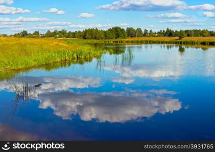 Summer rushy lake view with clouds reflections.