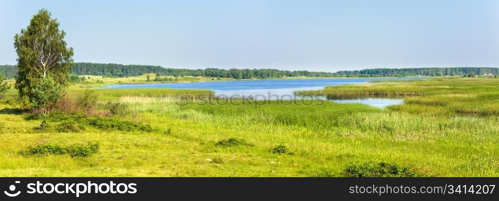 Summer rushy lake view with small grove on opposite shore. Two shots stitch image.
