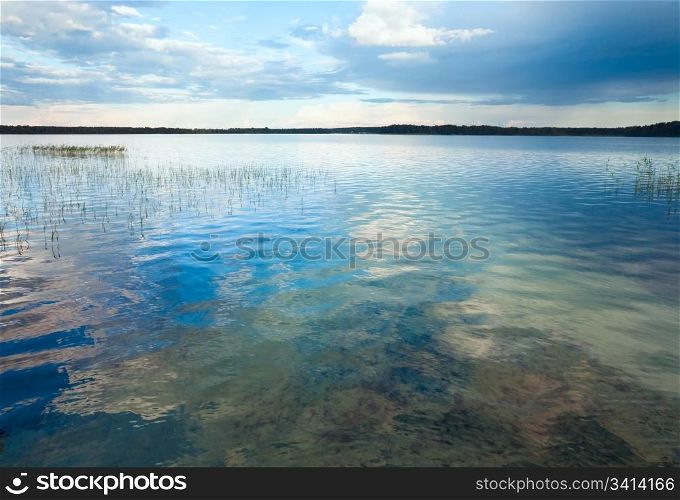 Summer rushy lake view with some plants on water surface