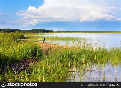 Summer rushy lake view with wooden boat near shore