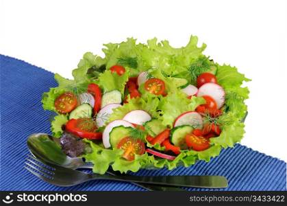Summer salad of fresh vegetables on blue napkin
