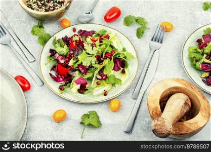 Summer salad with greens, pepper, red lettuce and cucumber, decorated with pomegranate.. Salad of fresh vegetables and herbs.