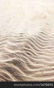 summer. sand background on the beach