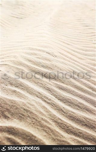 summer. sand background on the beach