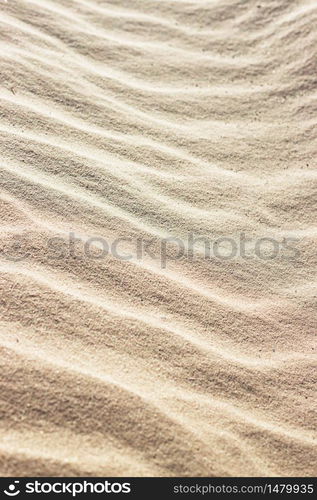 summer. sand background on the beach