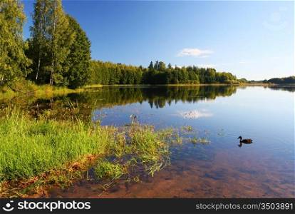 summer scene at lake Soodla, estonia