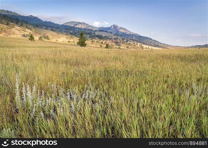 summer scenery of Rocky Mountains foothills, Lory State Park in northern Colorado