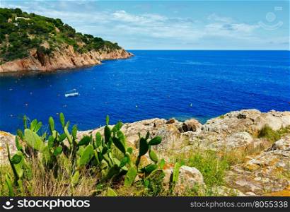 Summer sea coastline landscape with cactuses (Opuntia) in front.