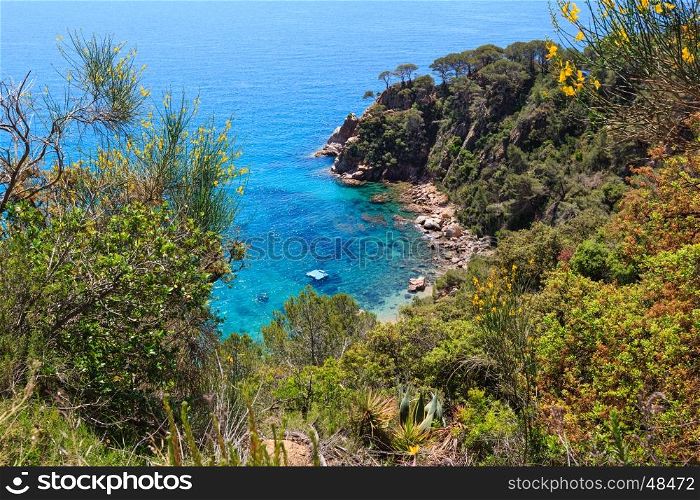Summer sea rocky coast top view with blossoming trees and sunny sparkles on water surface (Spain).
