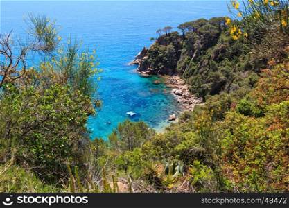 Summer sea rocky coast top view with blossoming trees and sunny sparkles on water surface (Spain).