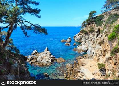 Summer sea rocky coast view with conifer trees (Catalonia, Costa Brava, Spain).