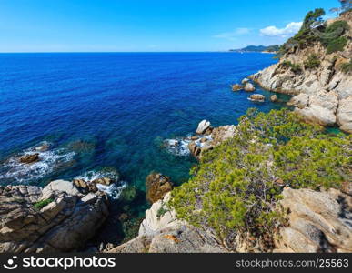 Summer sea rocky coast view with conifer trees (Catalonia, Spain).