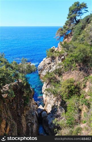 Summer sea rocky coast view with conifer trees (Costa Brava, Spain).